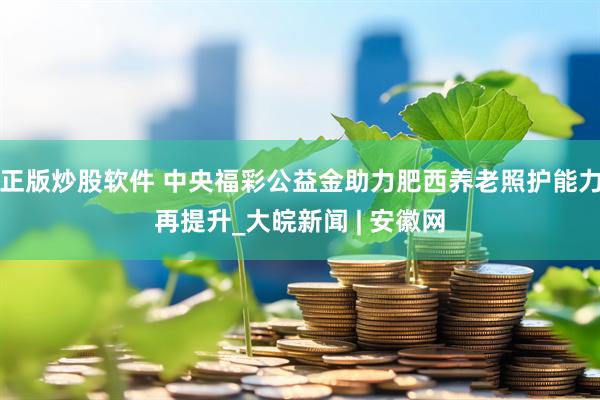 正版炒股软件 中央福彩公益金助力肥西养老照护能力再提升_大皖新闻 | 安徽网