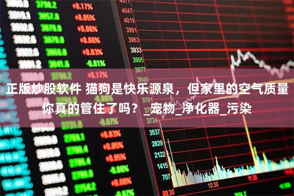 正版炒股软件 猫狗是快乐源泉，但家里的空气质量你真的管住了吗？_宠物_净化器_污染