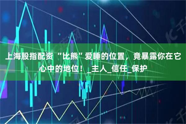 上海股指配资 “比熊”爱睡的位置，竟暴露你在它心中的地位！_主人_信任_保护