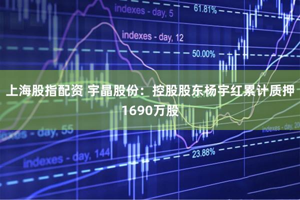 上海股指配资 宇晶股份：控股股东杨宇红累计质押1690万股